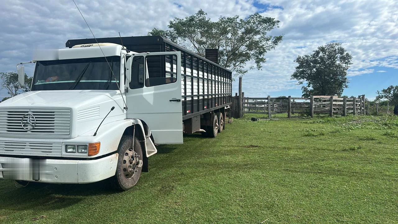 Transporte com foco em bem-estar animal